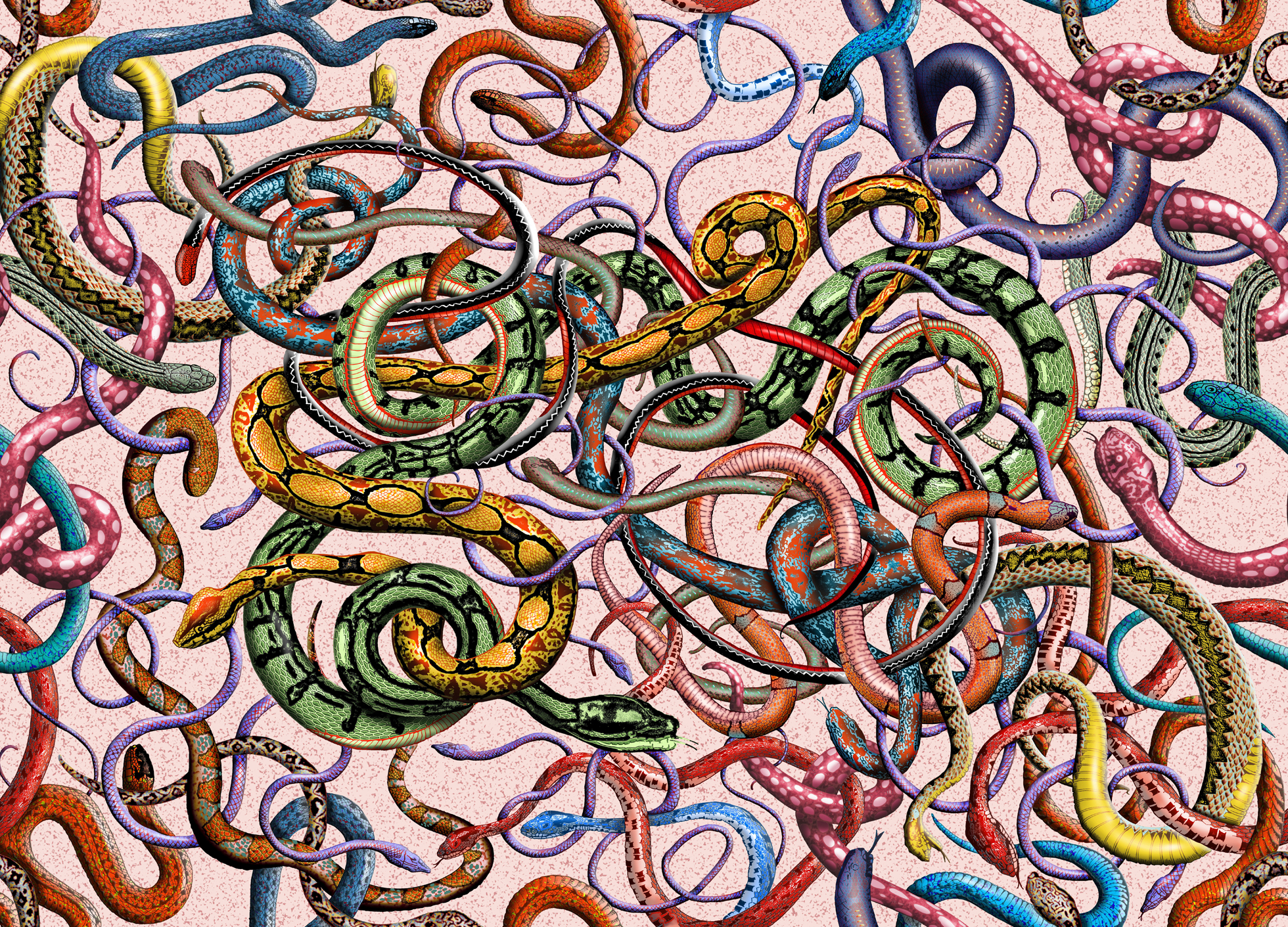 Judith Schaechter Alchetron, The Free Social Encyclopedia