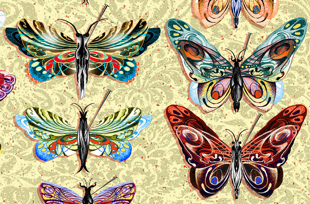 Butterfly Collection,  detail