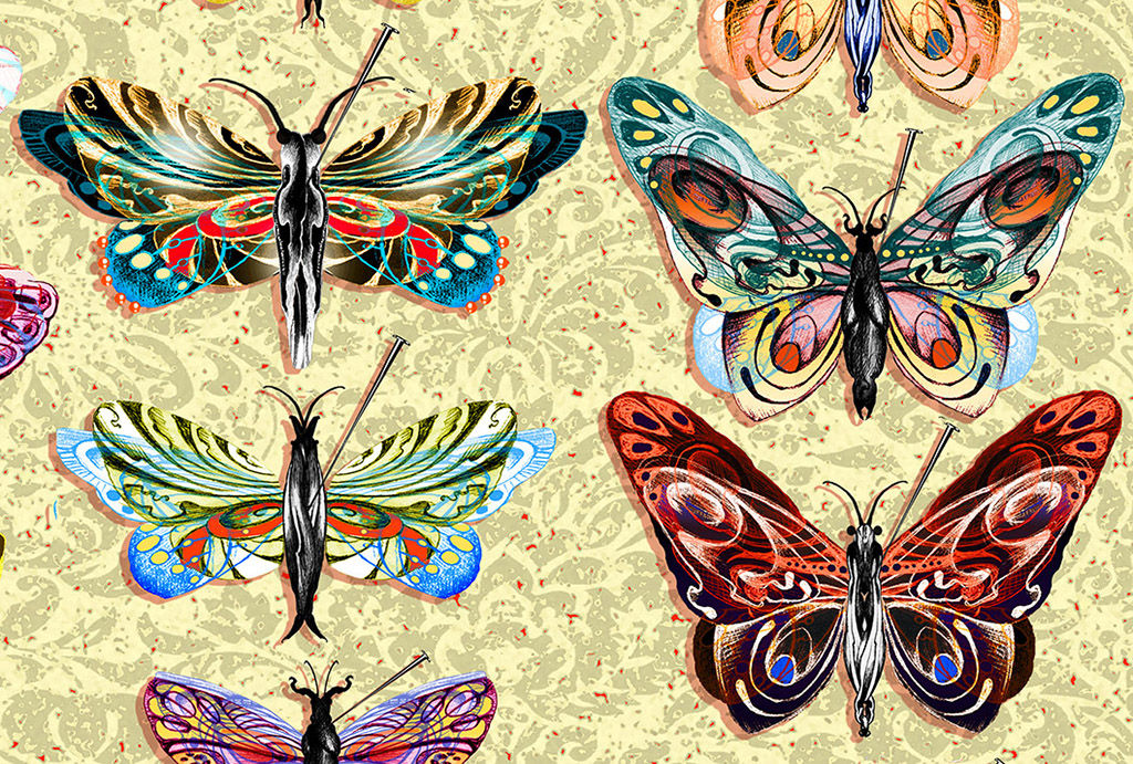 BUTTERFLY COLLECTION, DETAIL