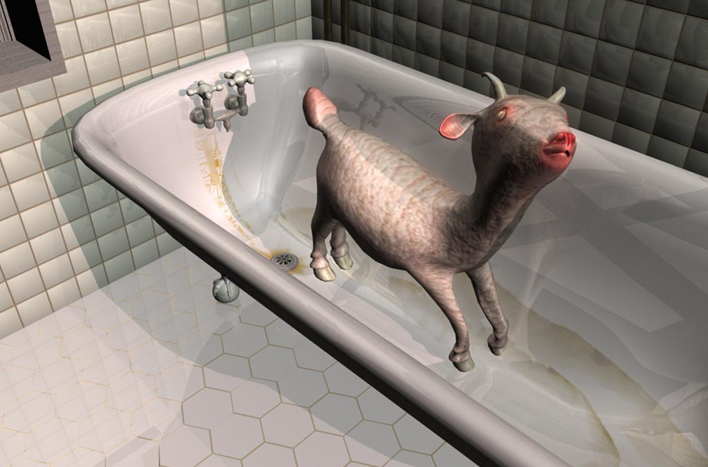 A Goat in a Tub,  pigment print,  27” x 36”, 2007