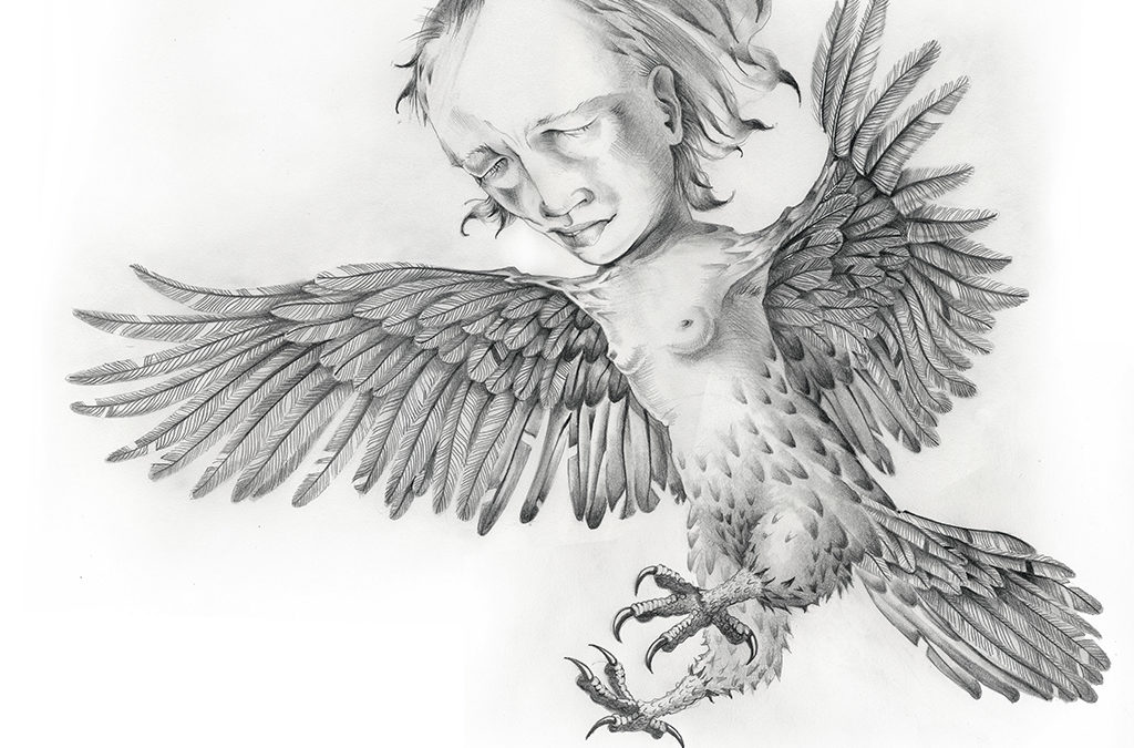 Harpy,  graphite, 2010
