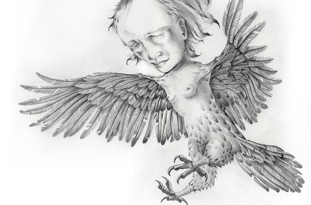 Harpy, graphite, 2010